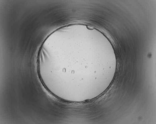 X0000116811143201001081350