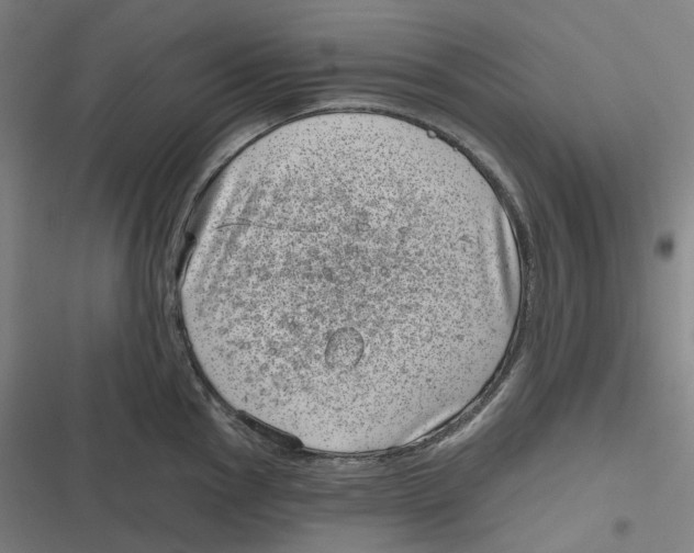 X0000116811145201001081350