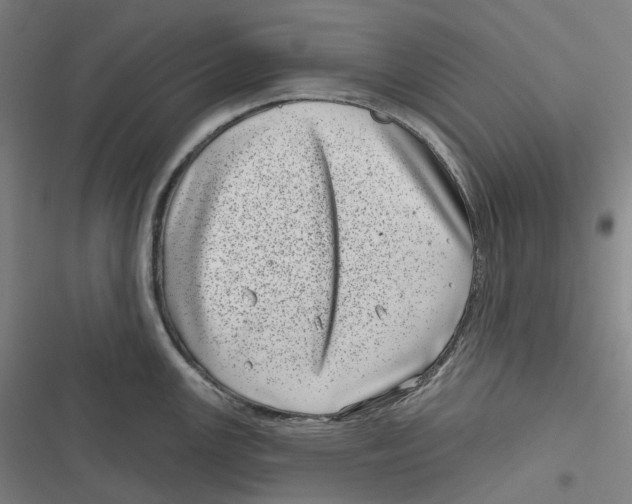 X0000116811147201001081350