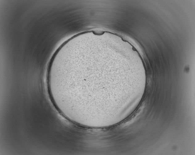 X0000116811149201001081350