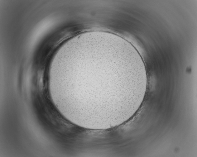 X0000116811150201001081350