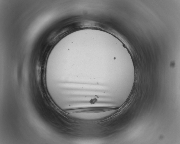 X0000116811151201001081350