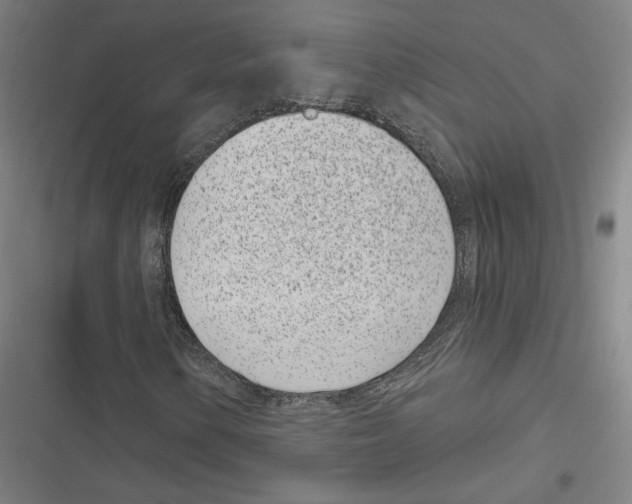 X0000116811154201001081349