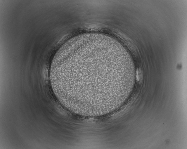 X0000116811155201001081349