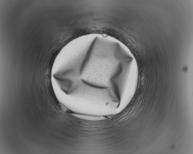 X0000116811156201001081349