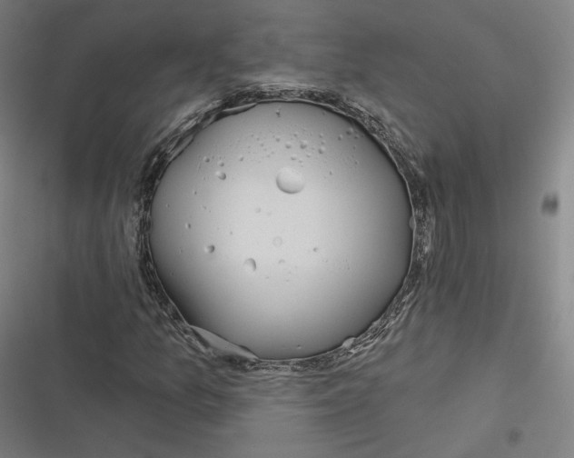 X0000116811157201001081349