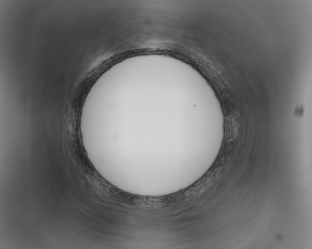 X0000116811158201001081349