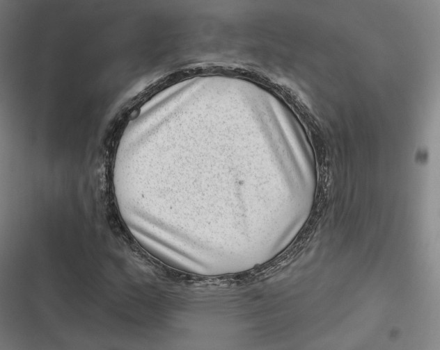 X0000116811159201001081349