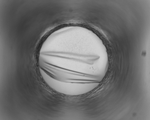 X0000116811160201001081349