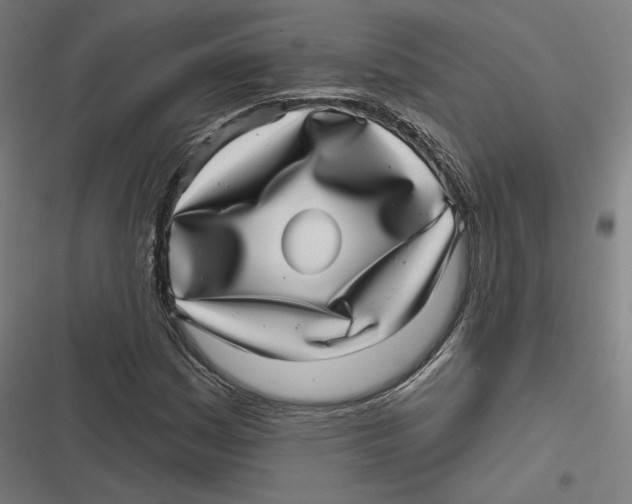 X0000116811161201001081349