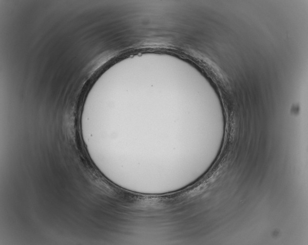 X0000116811162201001081349