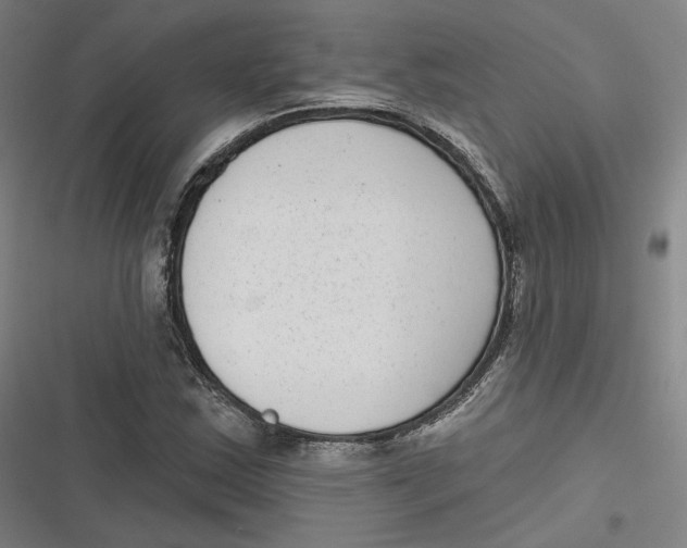 X0000116811163201001081349