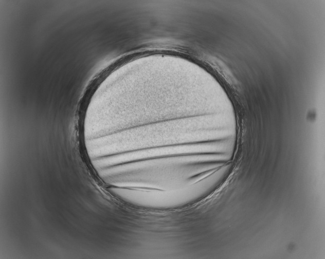 X0000116811164201001081349