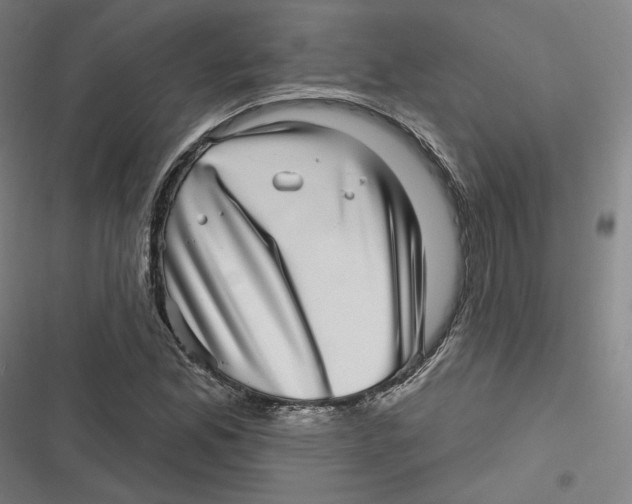 X0000116811165201001081349