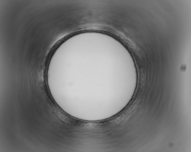 X0000116811166201001081349