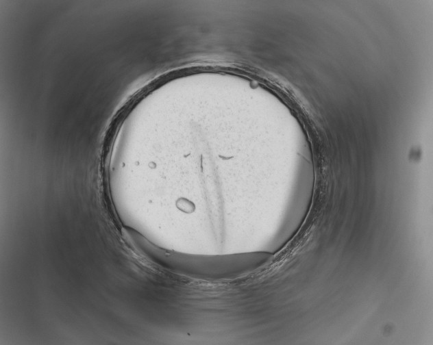 X0000116811168201001081349