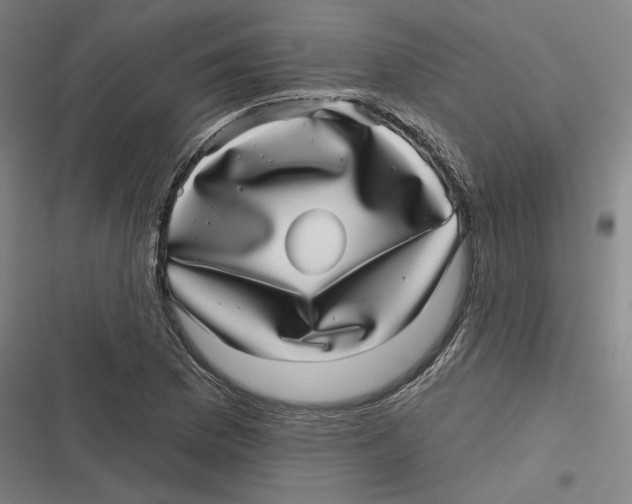 X0000116811169201001081349