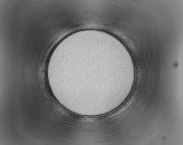 X0000116811170201001081349