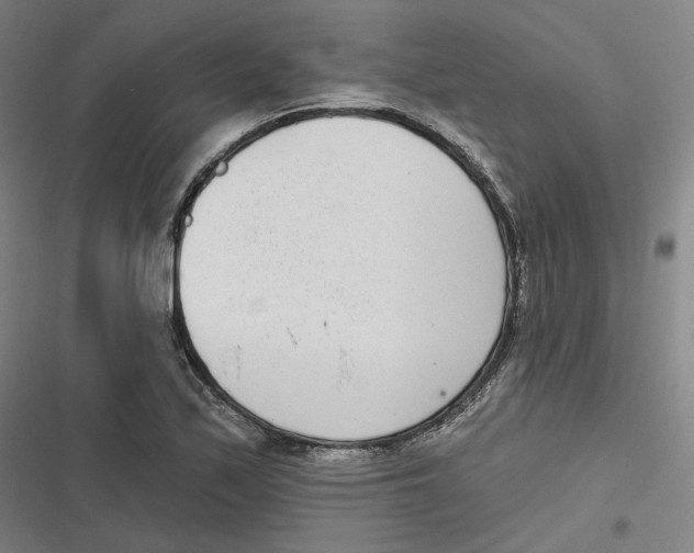 X0000116811171201001081349