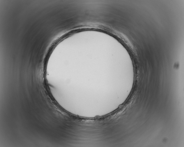 X0000116811172201001081349