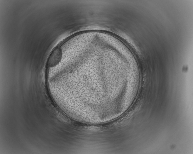 X0000116811173201001081349