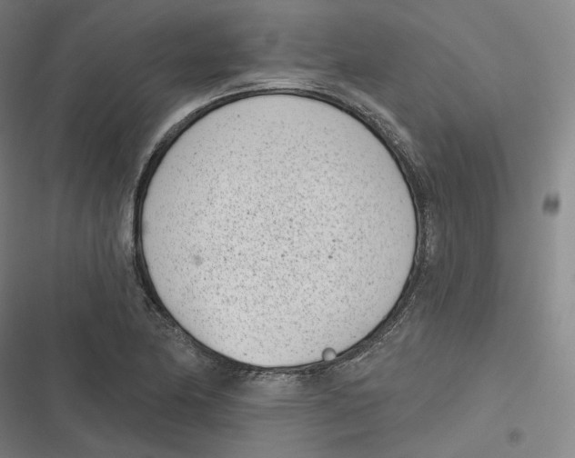 X0000116811174201001081349