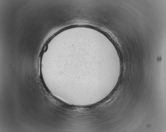 X0000116811175201001081349