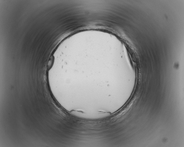 X0000116811177201001081349