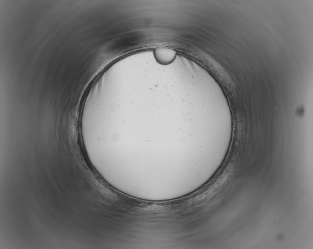 X0000116811178201001081349