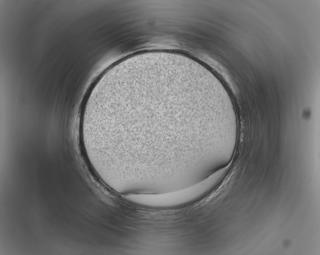 X0000116811179201001081349