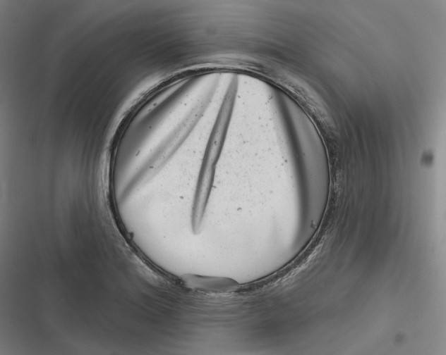 X0000116811180201001081349