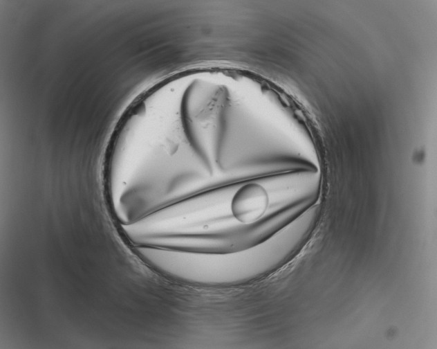 X0000116811181201001081349