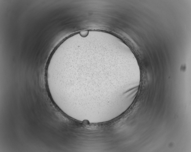 X0000116811182201001081349