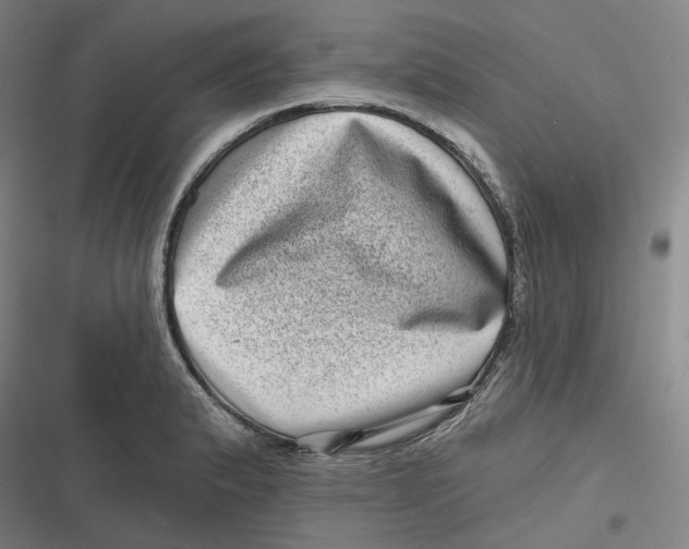 X0000116811183201001081349