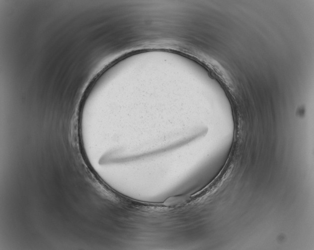 X0000116811184201001081349