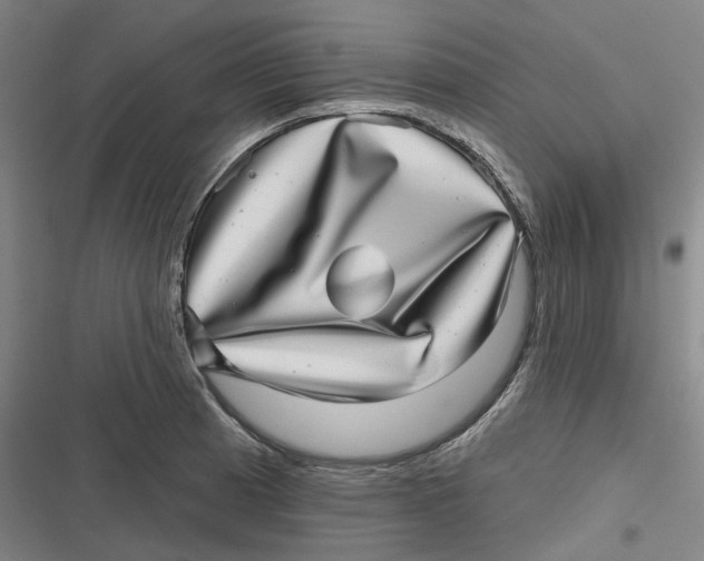 X0000116811185201001081349