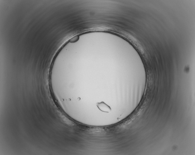 X0000116811186201001081349