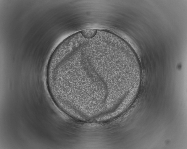 X0000116811187201001081349