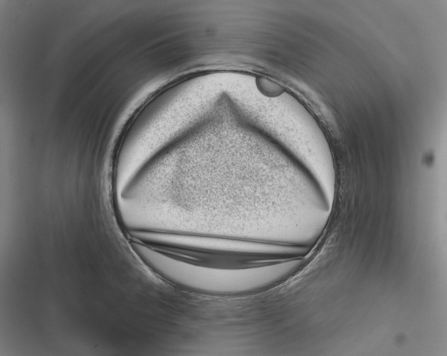 X0000116811188201001081349