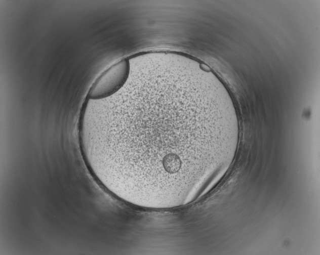 X0000116811189201001081349