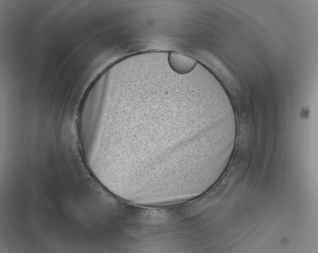 X0000116811190201001081349