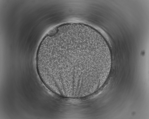 X0000116811191201001081349