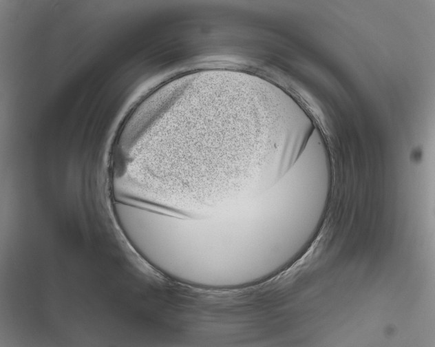 X0000116811192201001081349