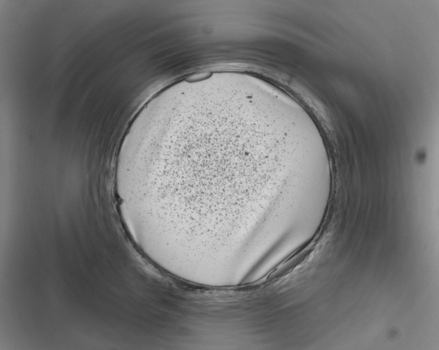 X0000116811193201001081349