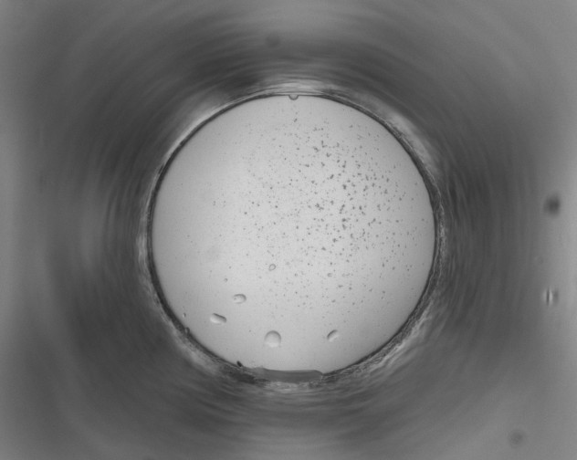 X0000116811194201001081349