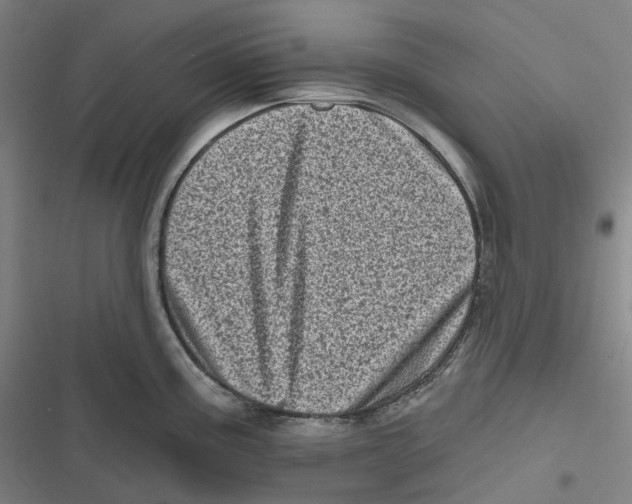 X0000116811195201001081349