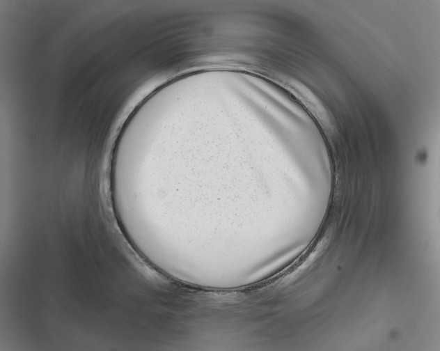 X0000116811196201001081349