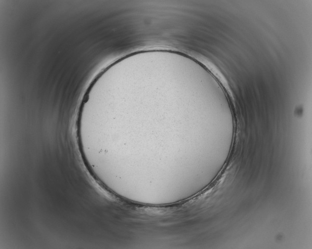 X0000116811197201001081349