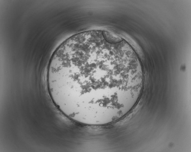 X0000116811198201001081349