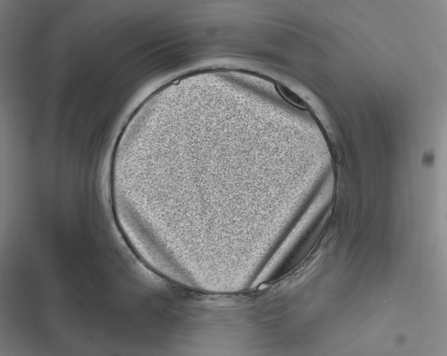 X0000116811199201001081349